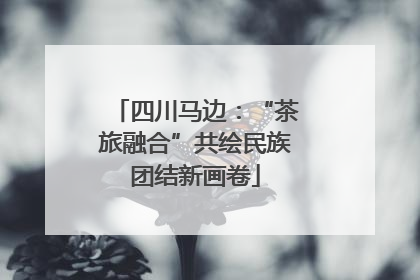 四川马边：“茶旅融合”共绘民族团结新画卷