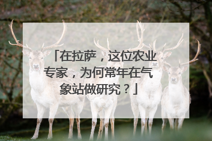 在拉萨，这位农业专家，为何常年在气象站做研究？