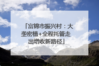 富锦市振兴村：大垄密植+全程托管走出增收新路径