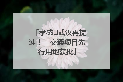 孝感⇋武汉再提速！一交通项目先行用地获批