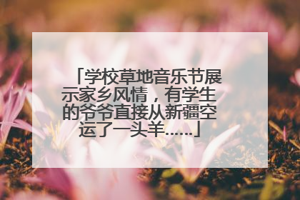 学校草地音乐节展示家乡风情，有学生的爷爷直接从新疆空运了一头羊……