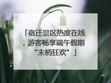 宿迁景区热度在线，游客畅享端午假期“末梢狂欢”