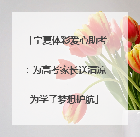 宁夏体彩爱心助考：为高考家长送清凉 为学子梦想护航