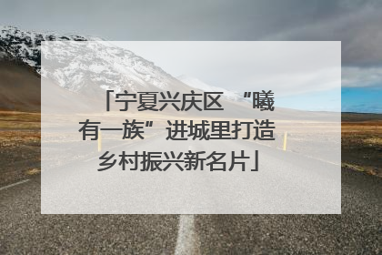 宁夏兴庆区 “曦有一族”进城里打造乡村振兴新名片