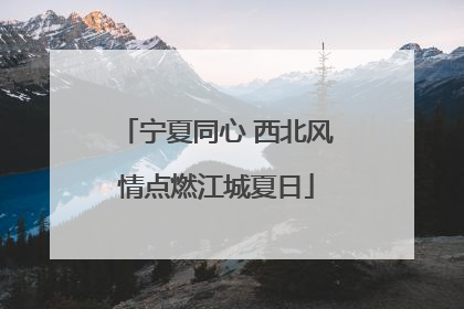 宁夏同心 西北风情点燃江城夏日