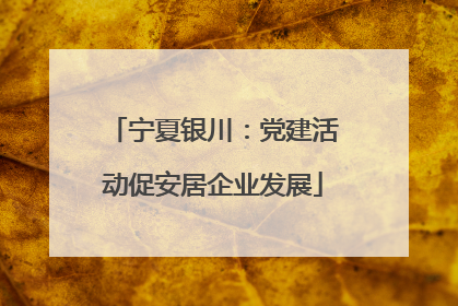 宁夏银川：党建活动促安居企业发展