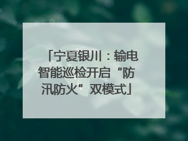 宁夏银川：输电智能巡检开启“防汛防火”双模式
