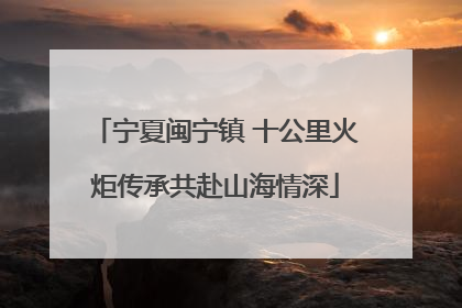 宁夏闽宁镇 十公里火炬传承共赴山海情深