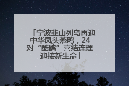 宁波韭山列岛再迎中华凤头燕鸥，24对“酷鸥”喜结连理迎接新生命