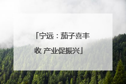 宁远：茄子喜丰收 产业促振兴