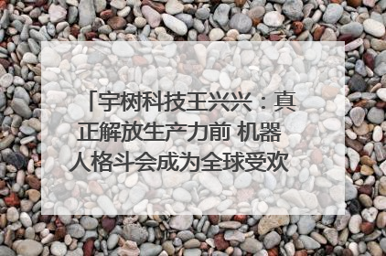 宇树科技王兴兴：真正解放生产力前 机器人格斗会成为全球受欢迎的赛事｜科技观察