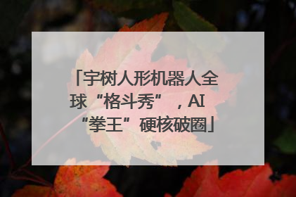 宇树人形机器人全球“格斗秀”，AI“拳王”硬核破圈