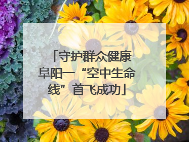 守护群众健康 阜阳一“空中生命线”首飞成功