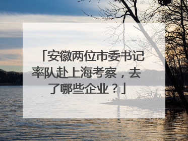 安徽两位市委书记率队赴上海考察，去了哪些企业？