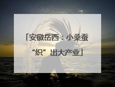 安徽岳西：小桑蚕“织”出大产业