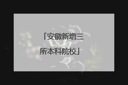 安徽新增三所本科院校