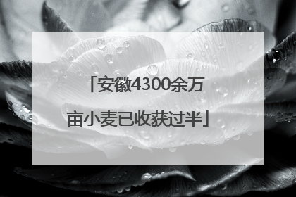 安徽4300余万亩小麦已收获过半