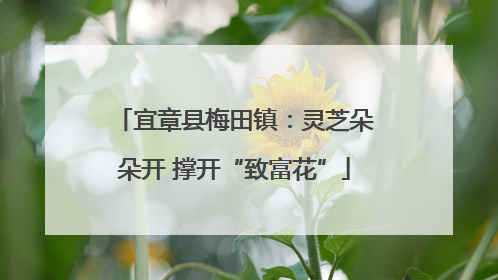 宜章县梅田镇：灵芝朵朵开 撑开“致富花”