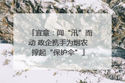 宜章：闻“汛”而动 政企携手为烟农撑起“保护伞”