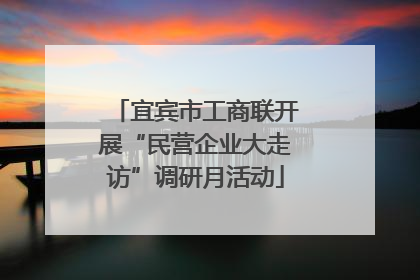 宜宾市工商联开展“民营企业大走访”调研月活动