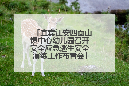 宜宾江安四面山镇中心幼儿园召开安全应急逃生安全演练工作布置会