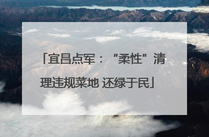 宜昌点军：“柔性”清理违规菜地 还绿于民