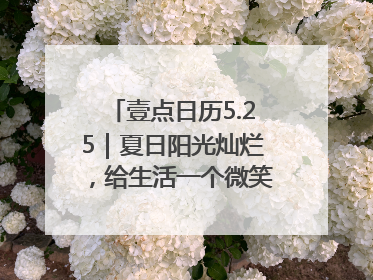 壹点日历5.25｜夏日阳光灿烂，给生活一个微笑！早安周末