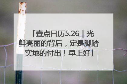 壹点日历5.26｜光鲜亮丽的背后，定是脚踏实地的付出！早上好