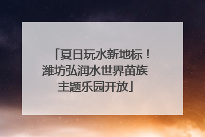 夏日玩水新地标！潍坊弘润水世界苗族主题乐园开放