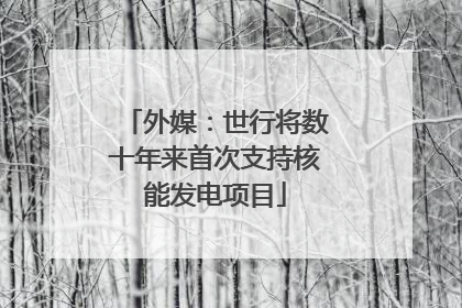 外媒：世行将数十年来首次支持核能发电项目