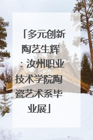 多元创新 陶艺生辉：汝州职业技术学院陶瓷艺术系毕业展