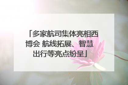 多家航司集体亮相西博会 航线拓展、智慧出行等亮点纷呈