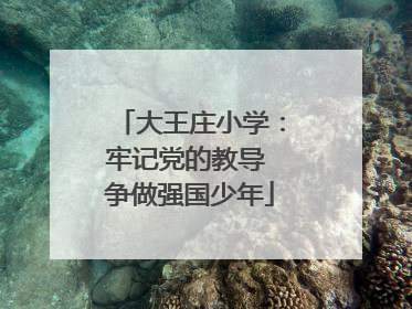 大王庄小学：牢记党的教导 争做强国少年