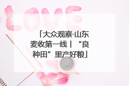 大众观察·山东麦收第一线丨“良种田”里产好粮