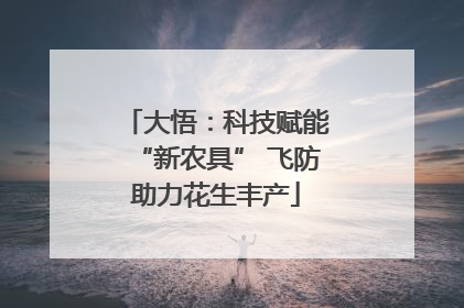 大悟：科技赋能“新农具” 飞防助力花生丰产