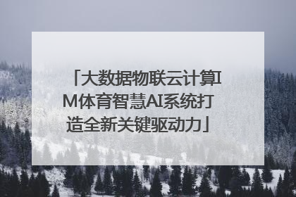 大数据物联云计算IM体育智慧AI系统打造全新关键驱动力