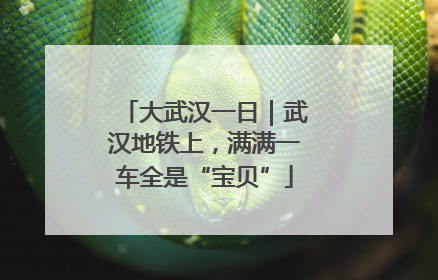 大武汉一日｜武汉地铁上，满满一车全是“宝贝”
