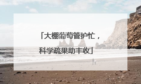 大棚葡萄管护忙，科学疏果助丰收