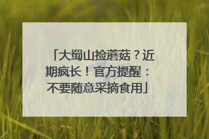 大蜀山捡蘑菇？近期疯长！官方提醒：不要随意采摘食用