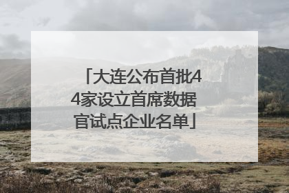 大连公布首批44家设立首席数据官试点企业名单