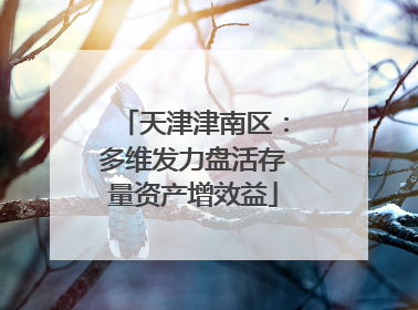 天津津南区：多维发力盘活存量资产增效益