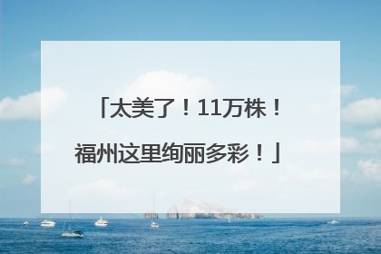 太美了！11万株！福州这里绚丽多彩！