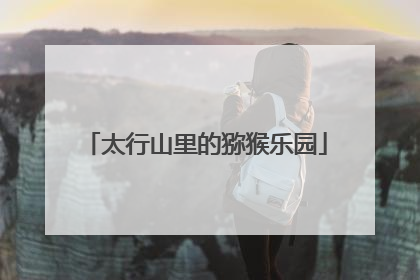 太行山里的猕猴乐园