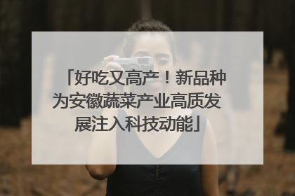好吃又高产！新品种为安徽蔬菜产业高质发展注入科技动能