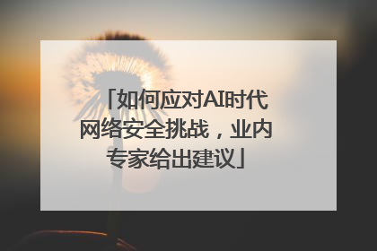 如何应对AI时代网络安全挑战，业内专家给出建议