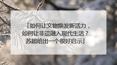 如何让文物焕发新活力，如何让非遗融入现代生活？苏超给出一个很好启示