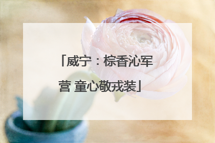 威宁：棕香沁军营 童心敬戎装