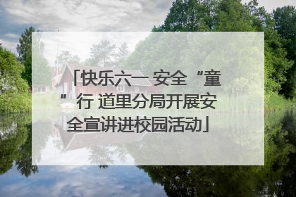 快乐六一 安全“童”行 道里分局开展安全宣讲进校园活动