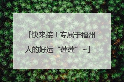 快来接！专属于福州人的好运“莲莲”~