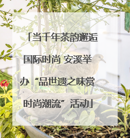 当千年茶韵邂逅国际时尚 安溪举办“品世遗之味赏时尚潮流”活动